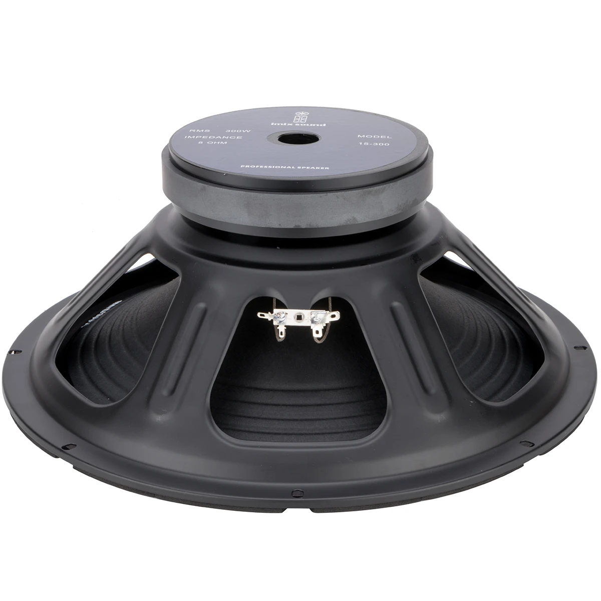 15-300 300W Loose Speaker