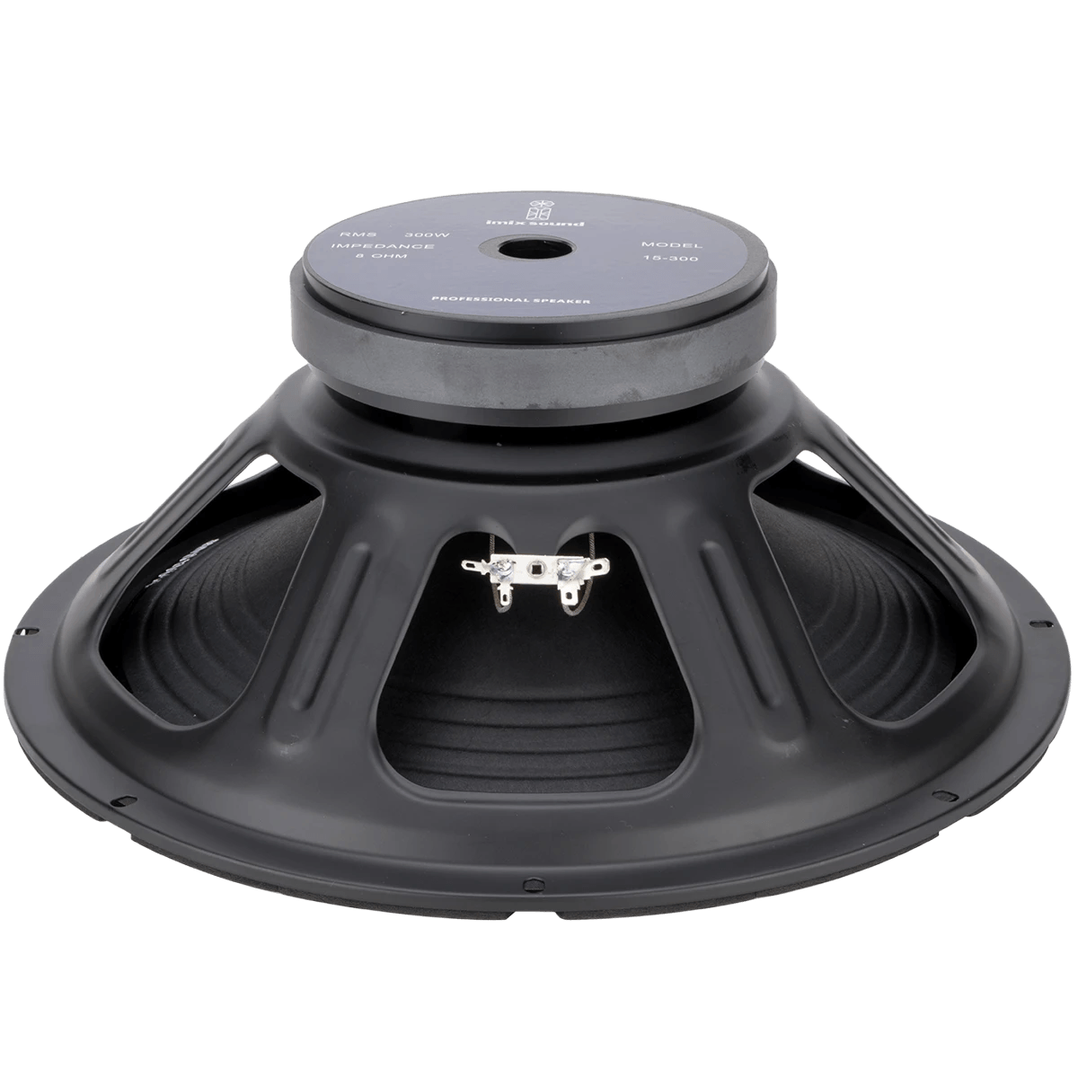 15-300 300W Loose Speaker