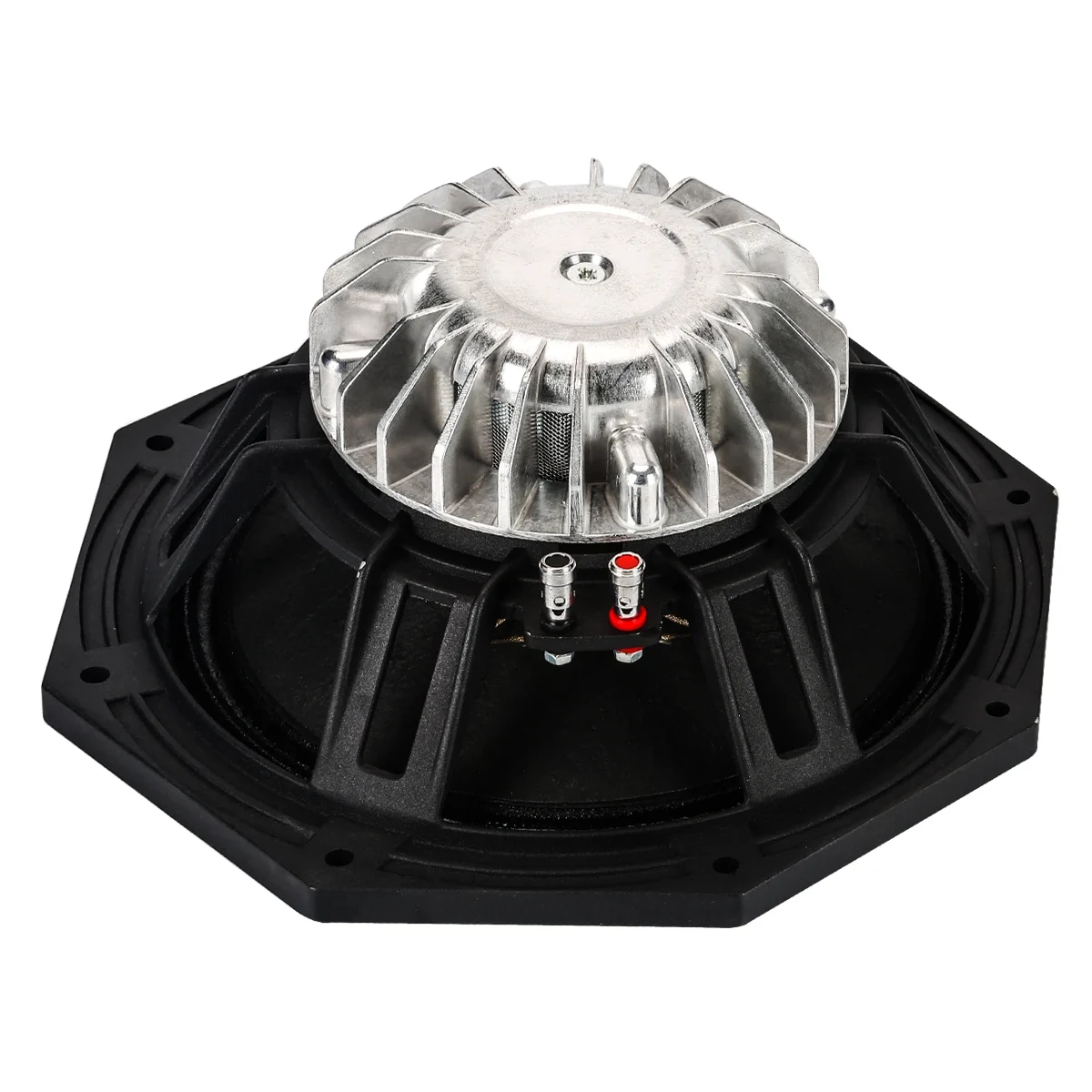 E10-250 10″ 250W Neodymium Loose Speaker