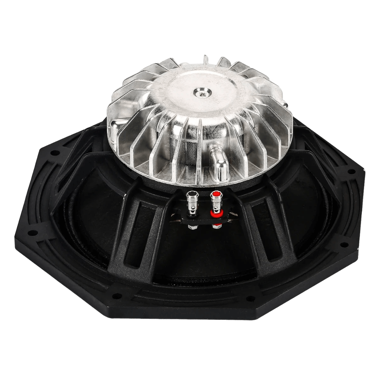 E10-250 10″ 250W Neodymium Loose Speaker