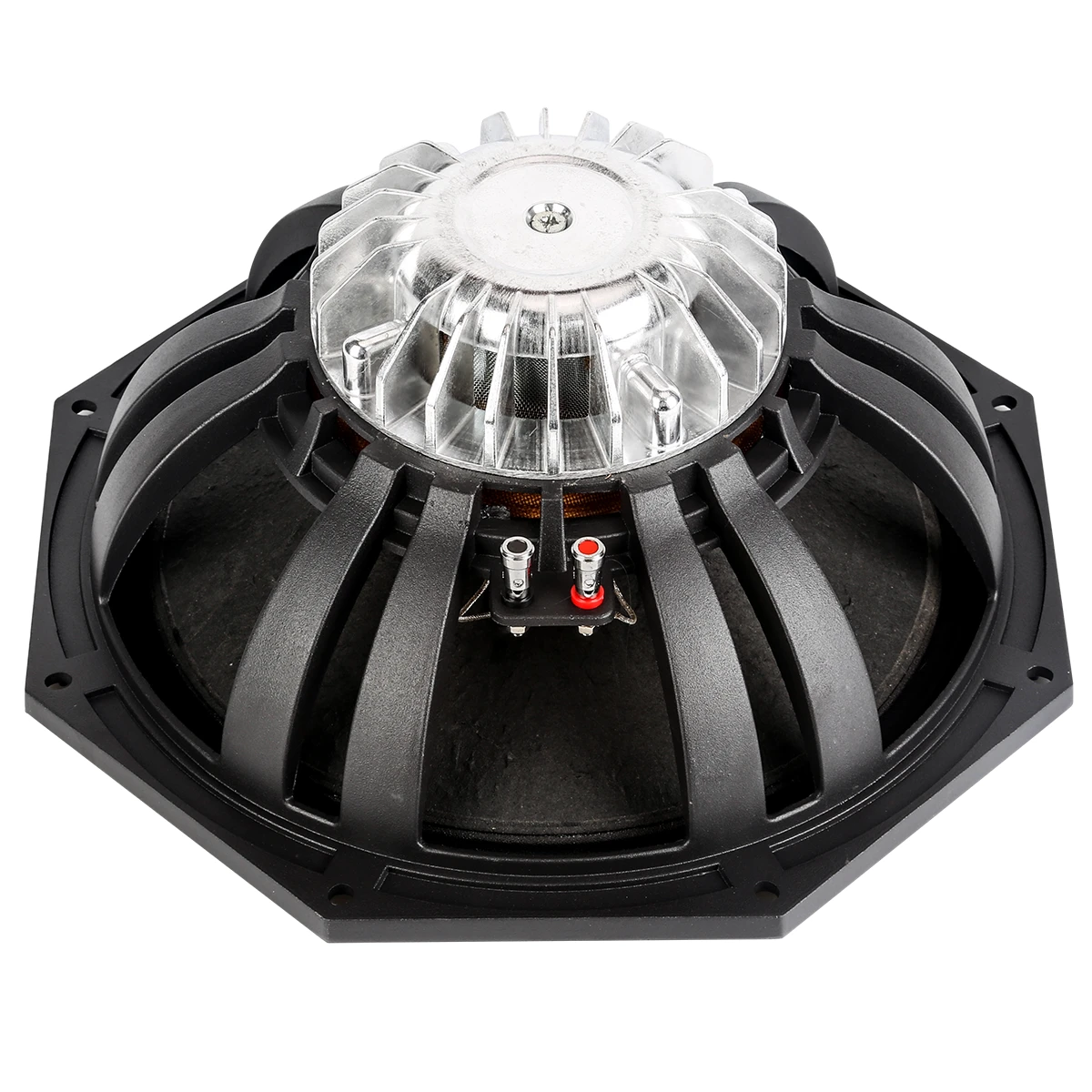 E12-300 12″ 300W Neodymium Loose Speaker