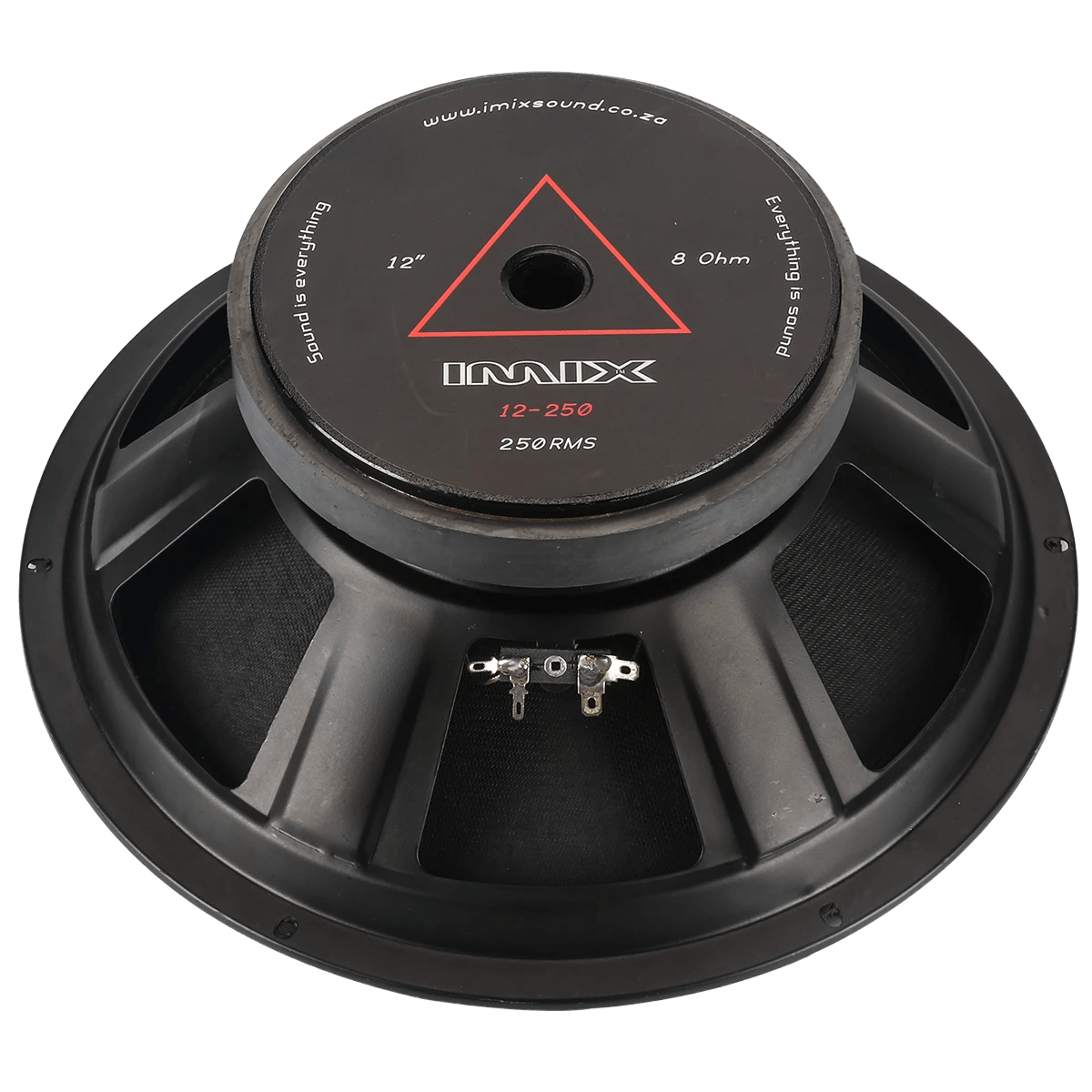 12-250 250W Loose Speaker