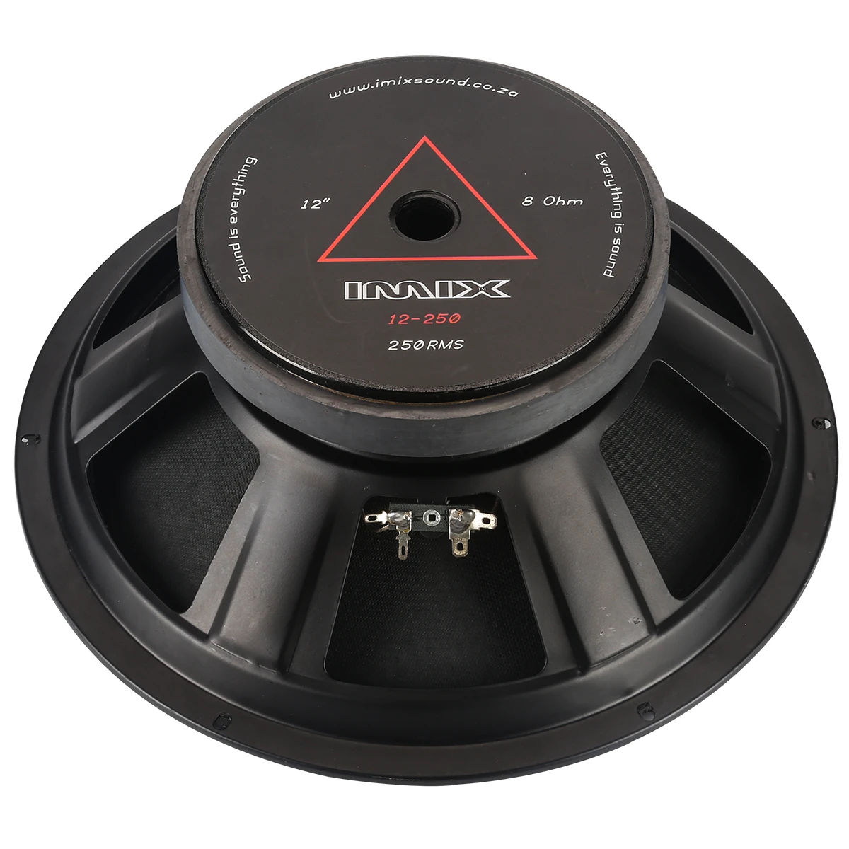 12-250 250W Loose Speaker