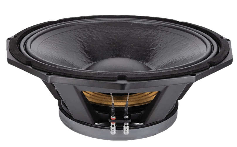 N9 Audio 6N100 100W Loose Speaker