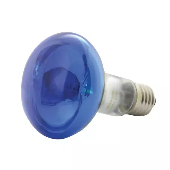 QTX R80-B Coloured Reflector LAMP BLUE E27