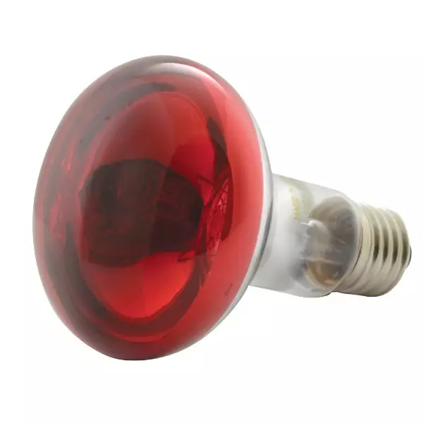QTX R80-R Coloured Reflector LAMP RED E27