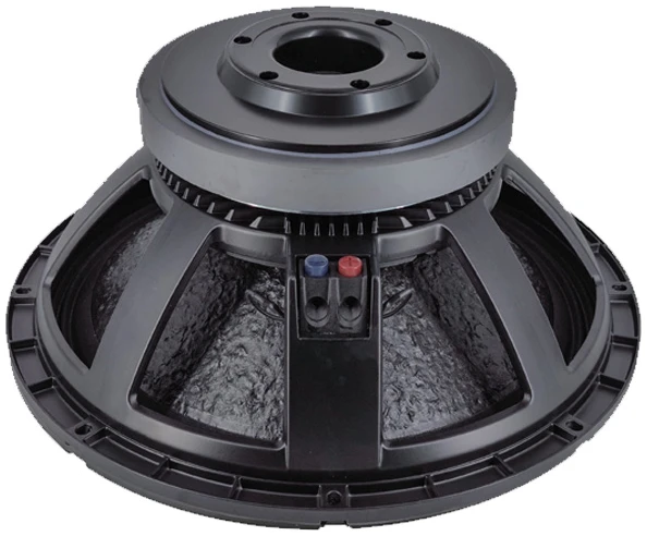 L18X451 18″ 1200 W Loose Speaker