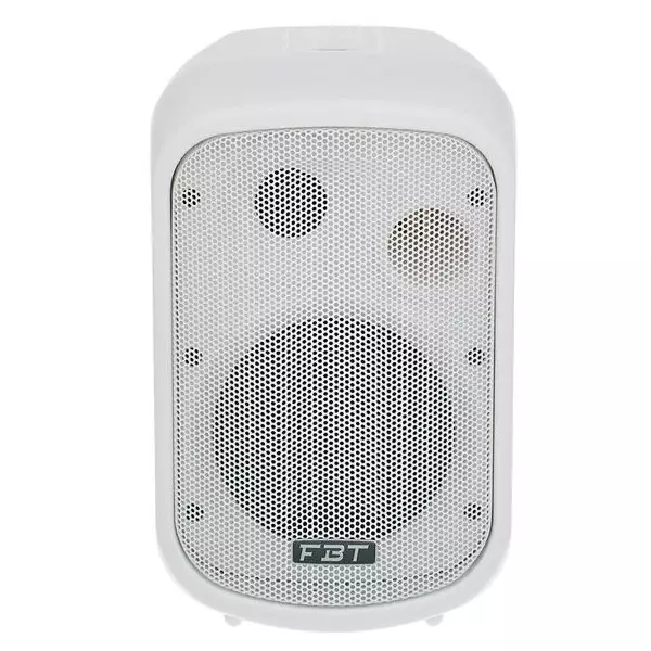 FBT J5W Passive Speaker