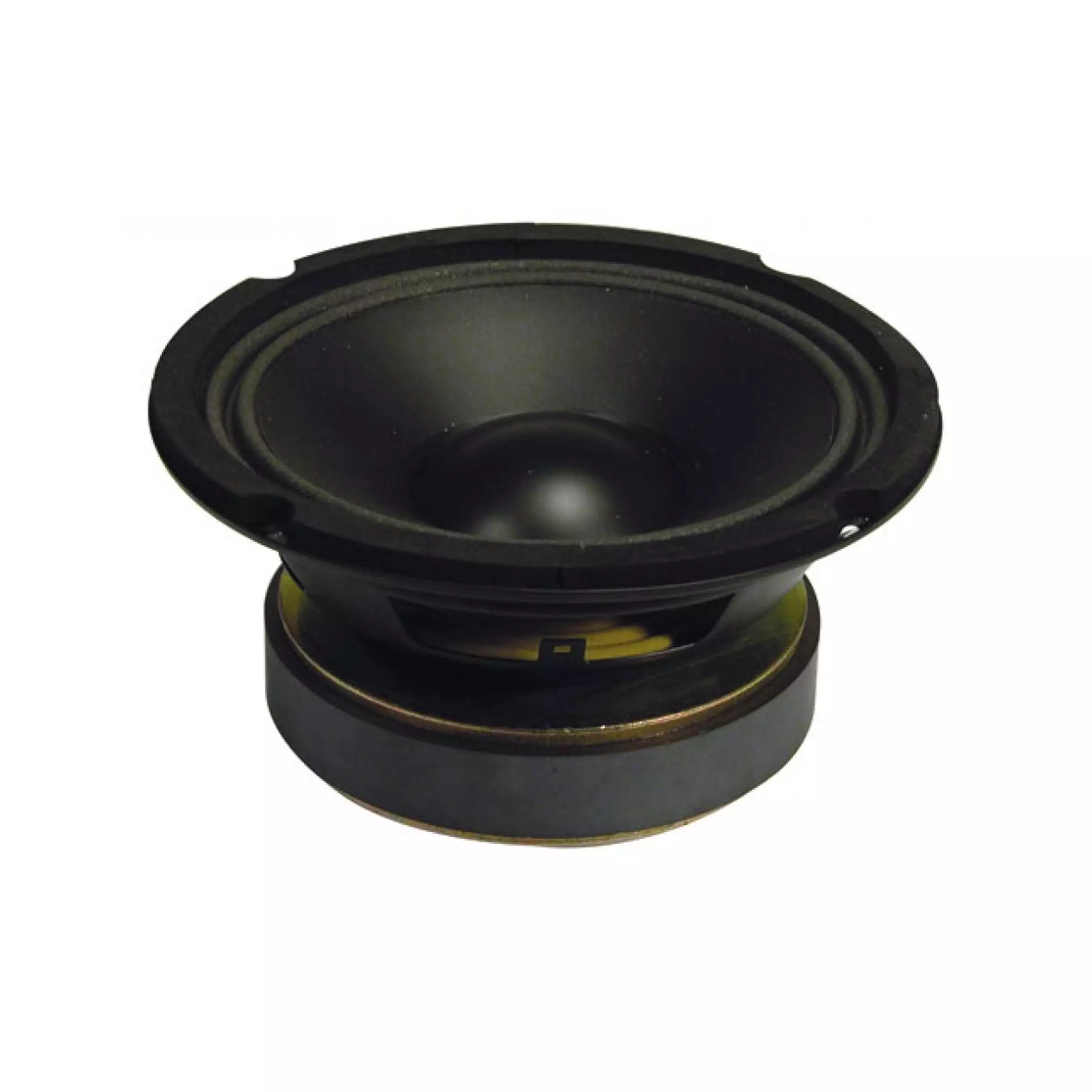 Vonyx WP16 Replacement Driver 8INCH FOAM 100W