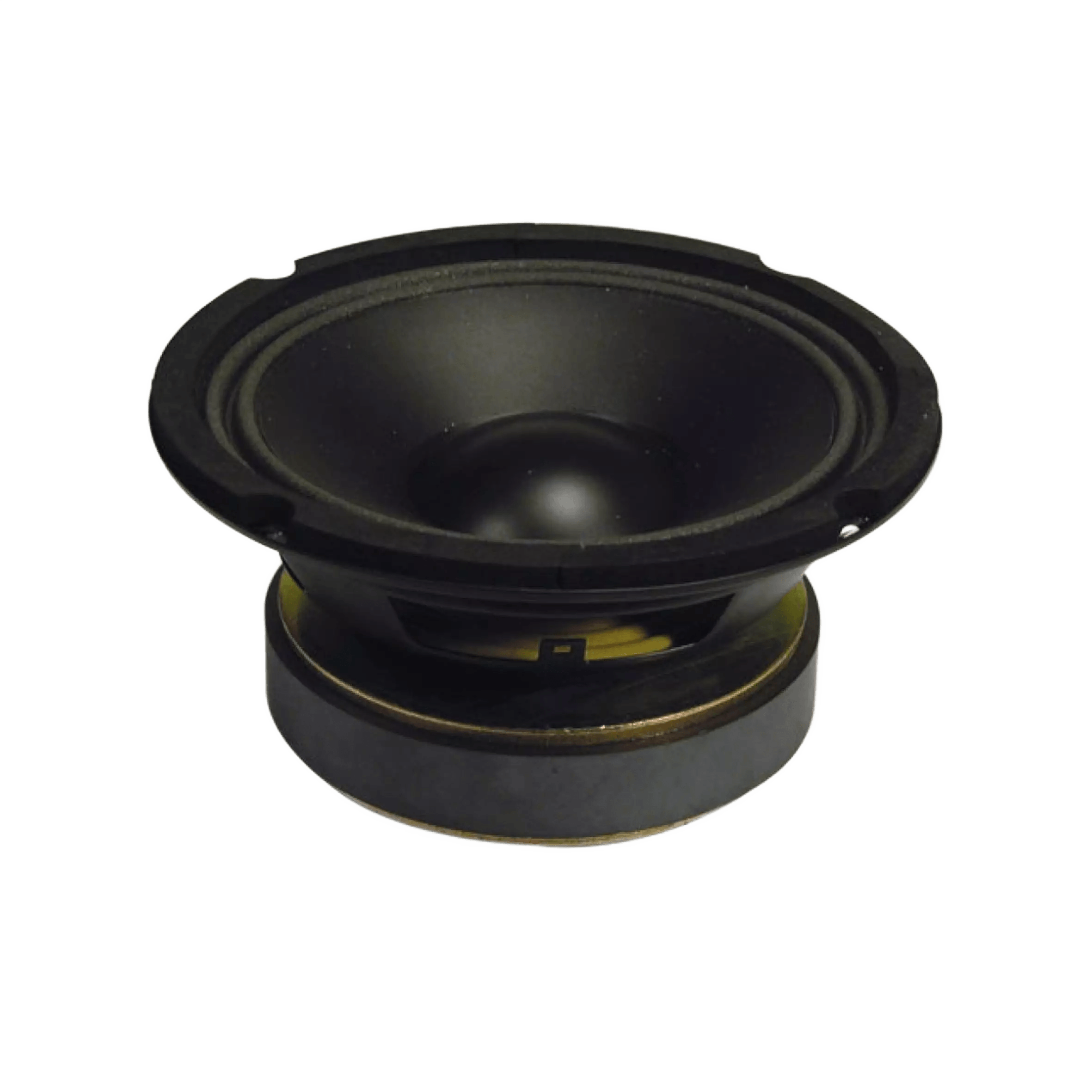 Vonyx WP16 Replacement Driver 8INCH FOAM 100W