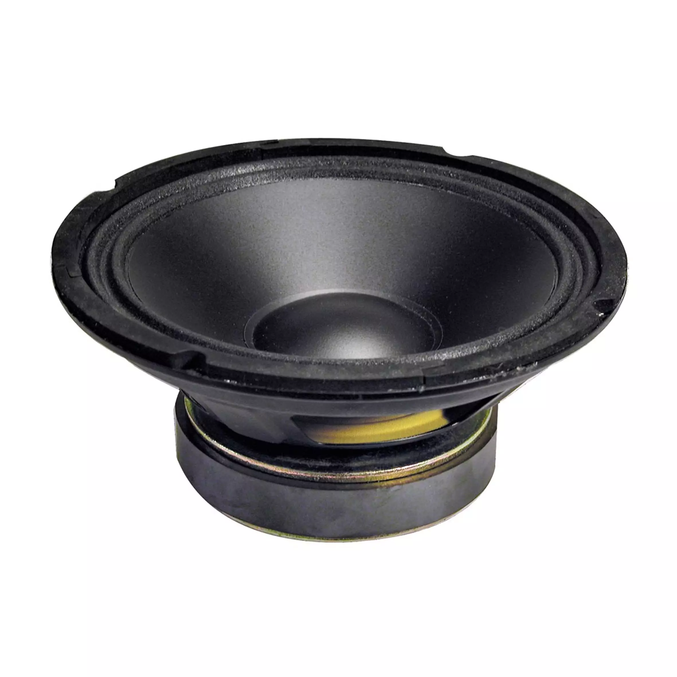 Vonyx WP20 Replacement Driver 8INCH Polyprop 125W