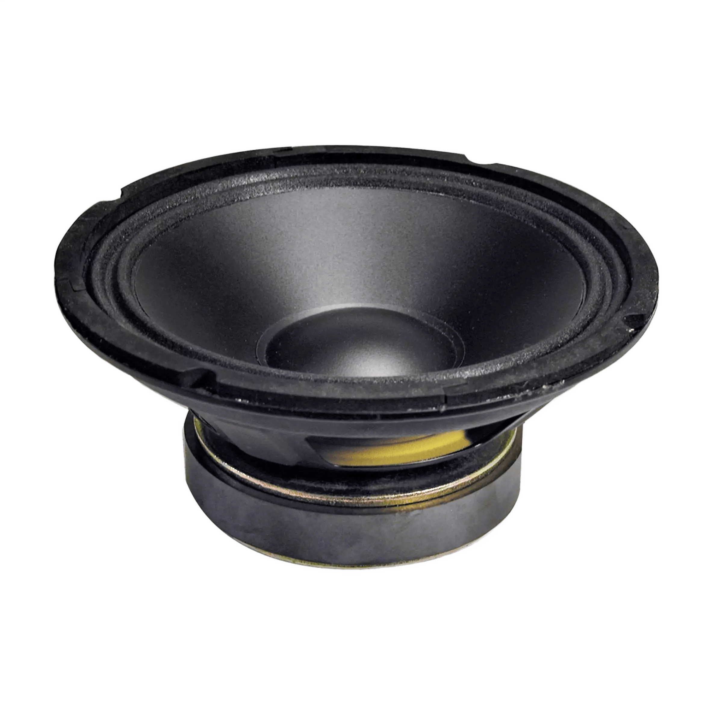 Vonyx WP20 Replacement Driver 8INCH Polyprop 125W