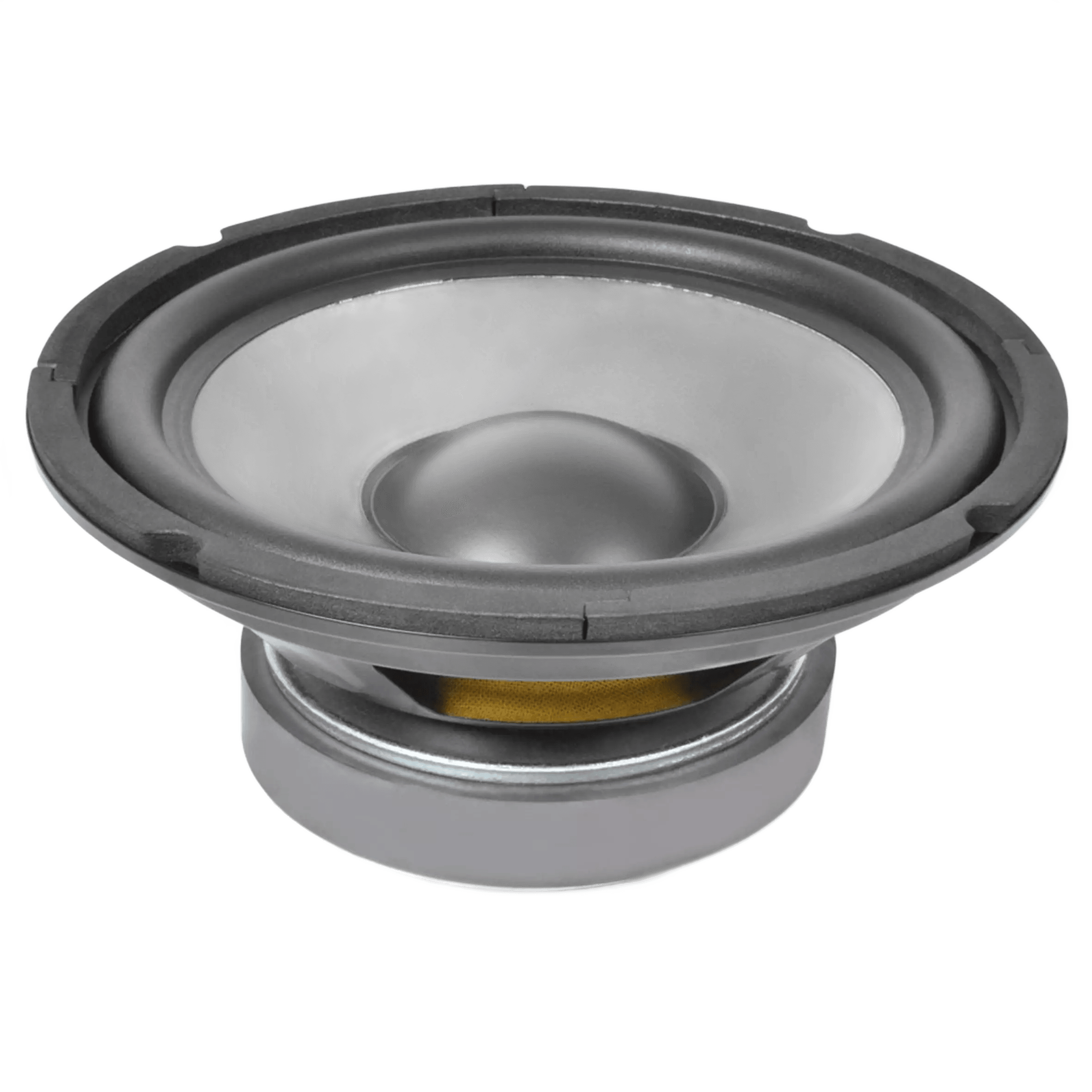 Vonyx WPP13 Replacement Driver 5.25INCH Polyprop 75W