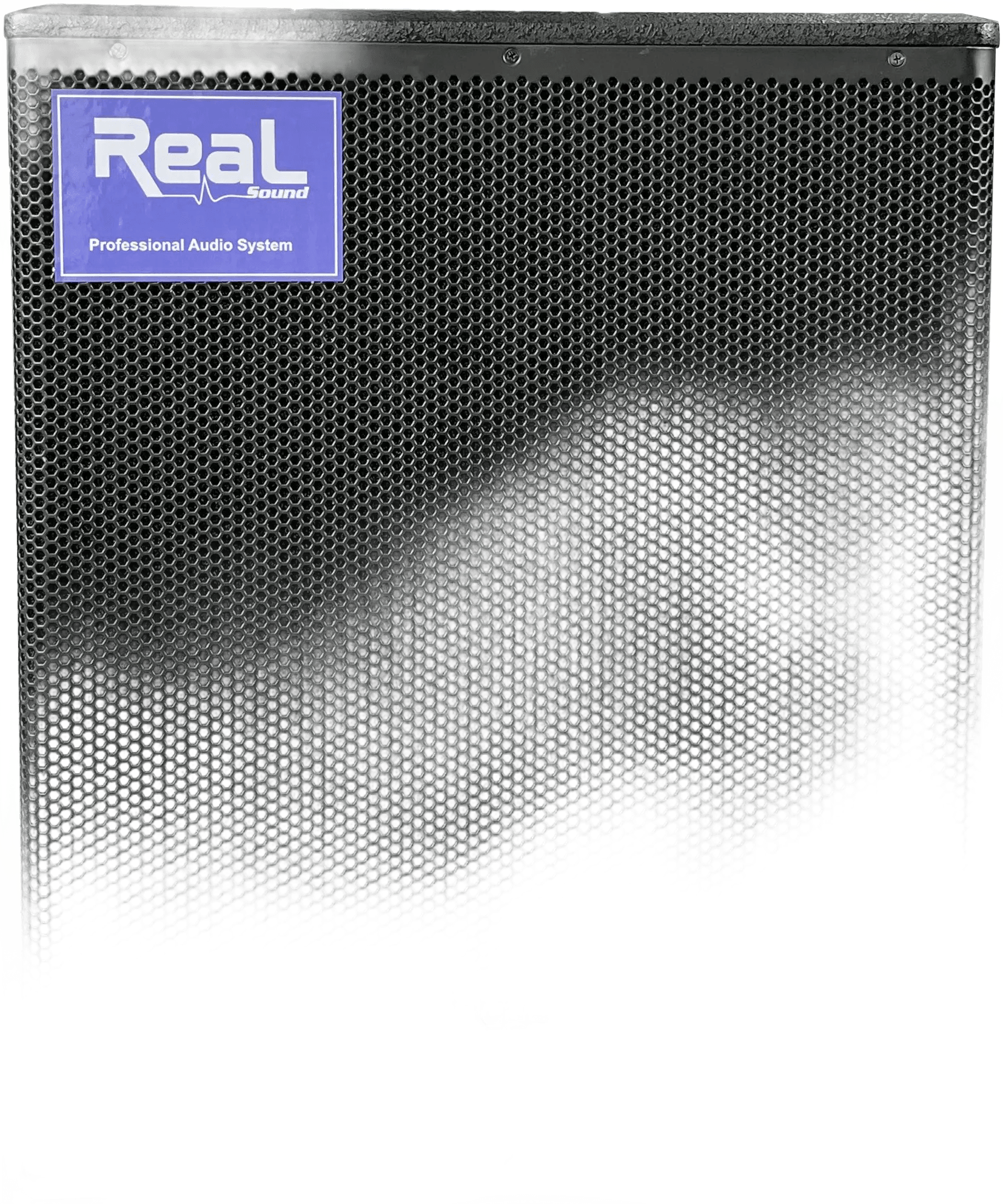 Real Sound ZX18P 18″ Active Subwoofer