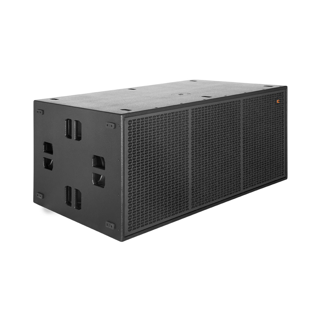 Celto Acoustique CSW221