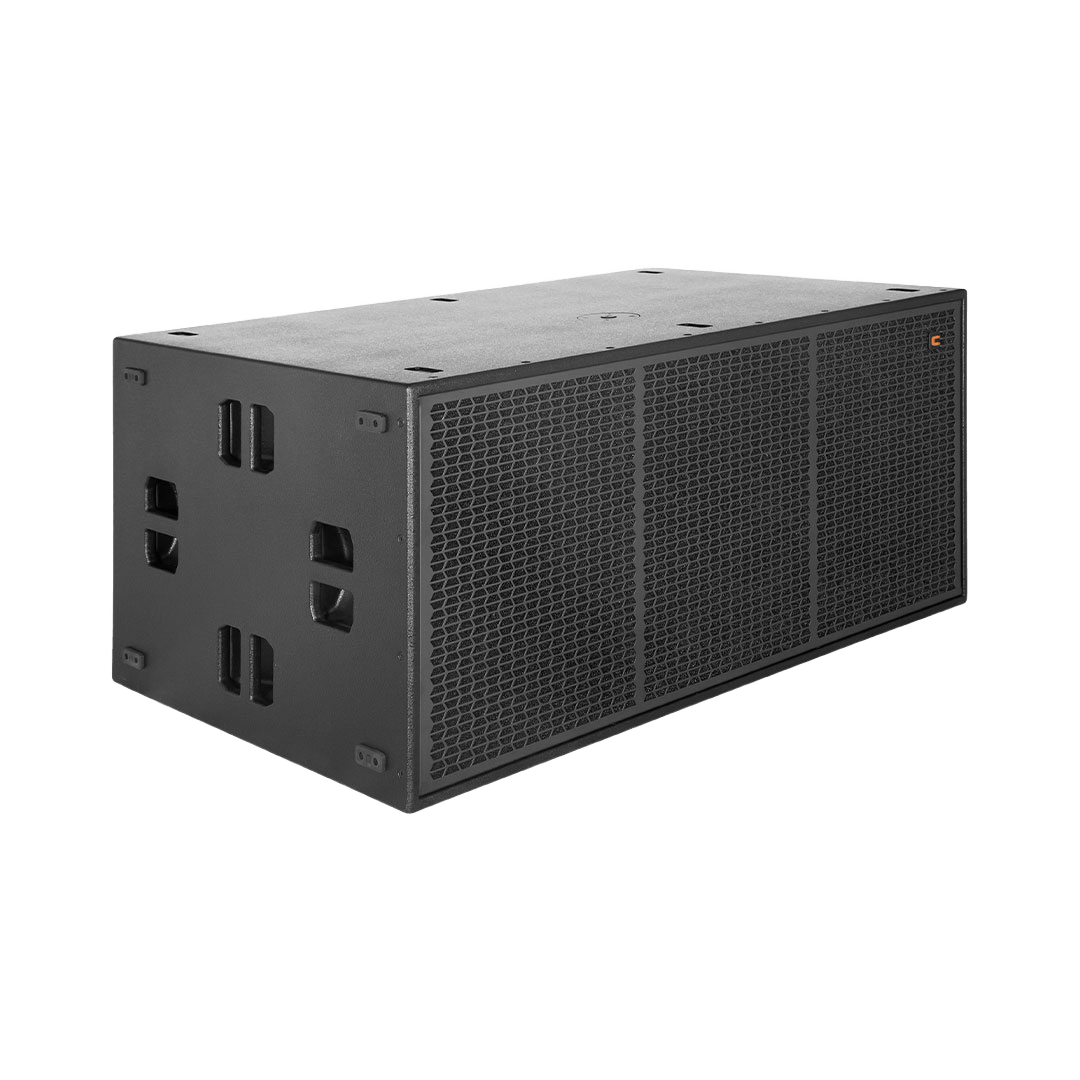 Celto Acoustique CSW221