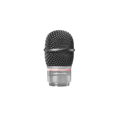 Audio-Technica ATW-C6100