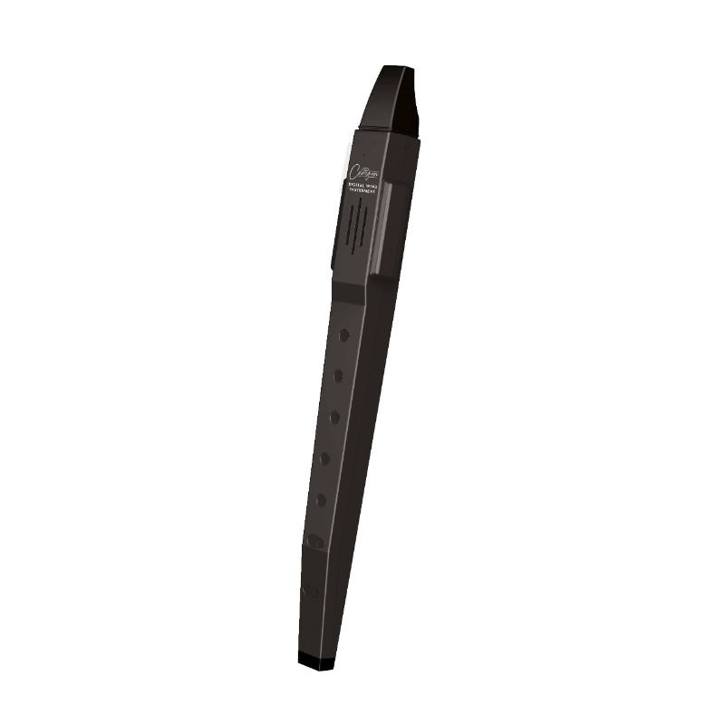 Carry-ON-DWI-BK Digital WIND Instrument Black