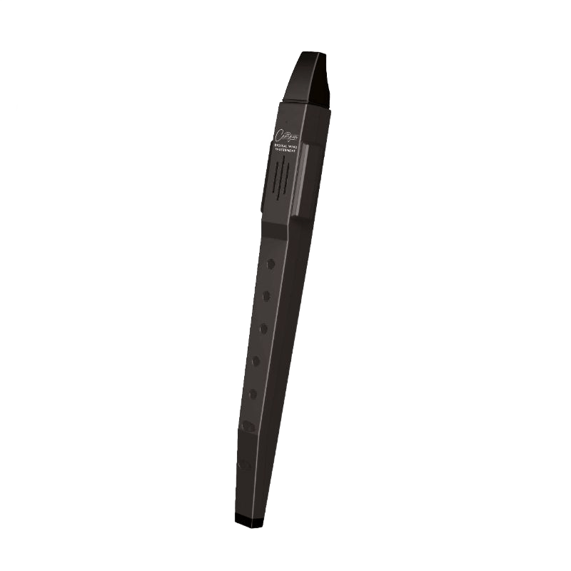 Carry-ON-DWI-BK Digital WIND Instrument Black