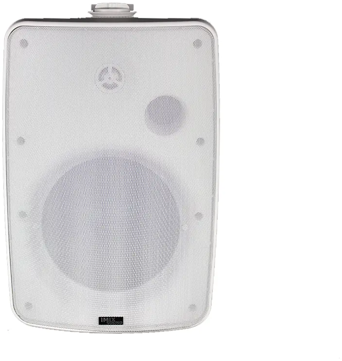 DS8-W WALL-Mount Speaker