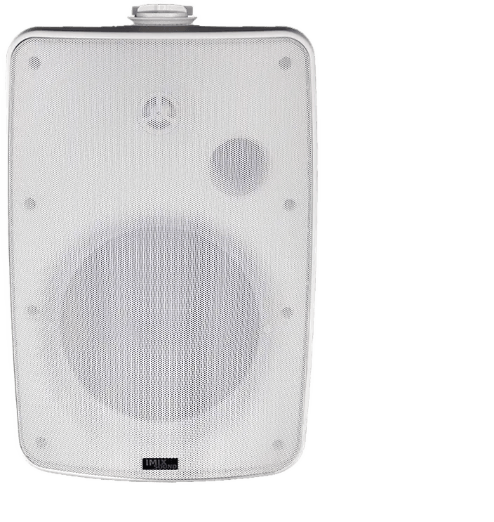 DS8-W WALL-Mount Speaker
