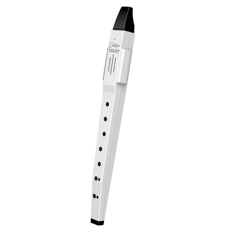 Carry-ON-DWI-WT Digital WIND Instrument White