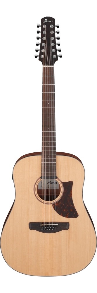 Ibanez Electric Guitar 12STRING