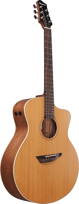 Ibanez PA Series W/bag Solid Cedar TOP