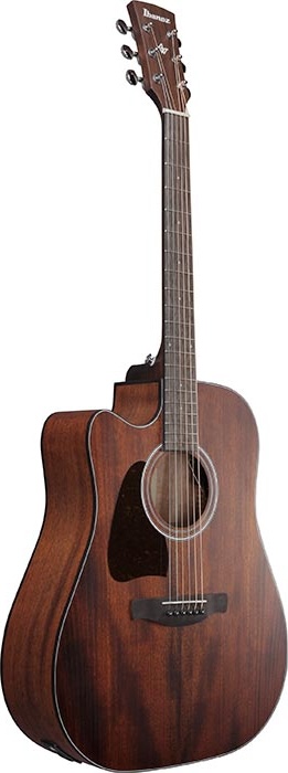 Ibanez Ac/el Lefty Guitar