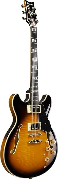 Ibanez Artcore Guitar
