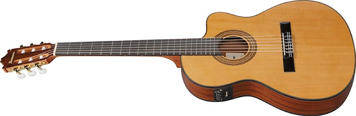 Ibanez GA Series Thinline Spruce TOP
