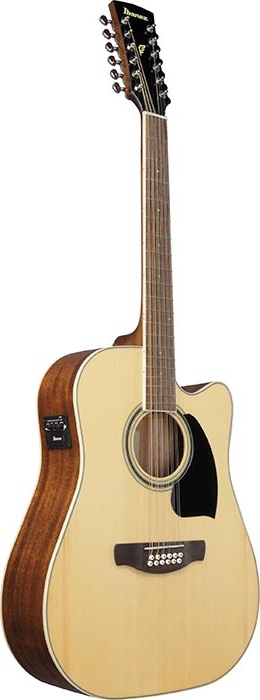 Ibanez Acoustic GTR 12ST