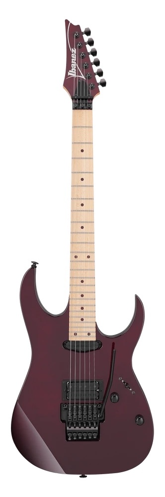 Ibanez Electric Guitar