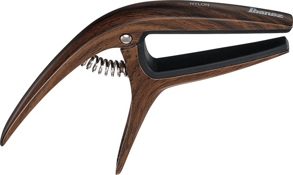 Ibanez WOOD Finish