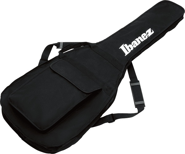 Ibanez 101 Series BAG