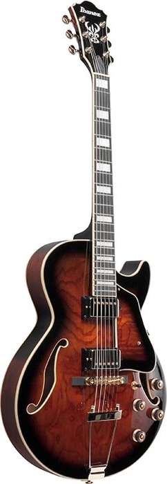 Ibanez Acous/elect Guitar