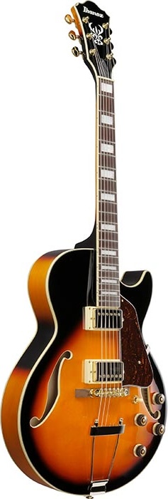 Ibanez Electric Guitar