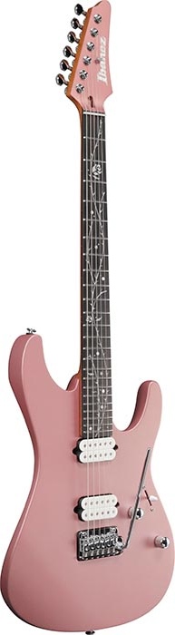 Ibanez Signature Electric Guitar