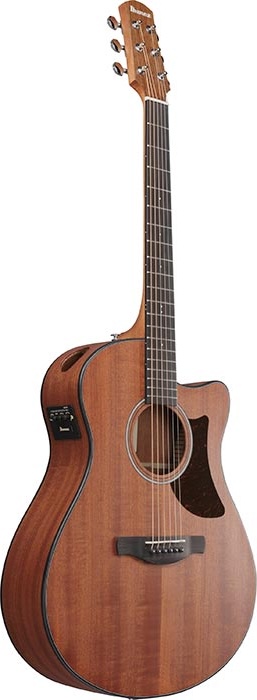 Ibanez Advanced Acoustic Series