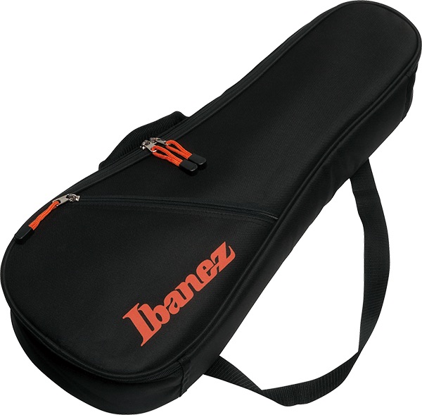 Ibanez 301 Series BAG