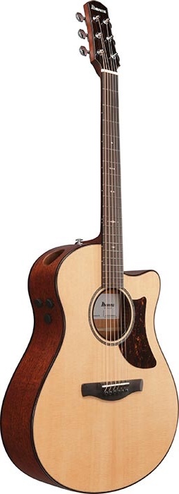Ibanez Advanced Acoustic Series