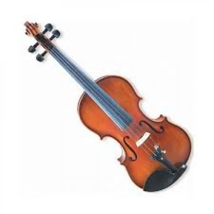 Mason Violin 1/2+case