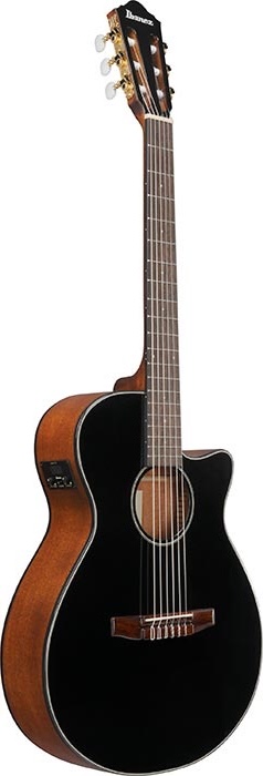 Ibanez Electric Guitar
