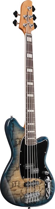 Ibanez Talman 5str Bass Guitar