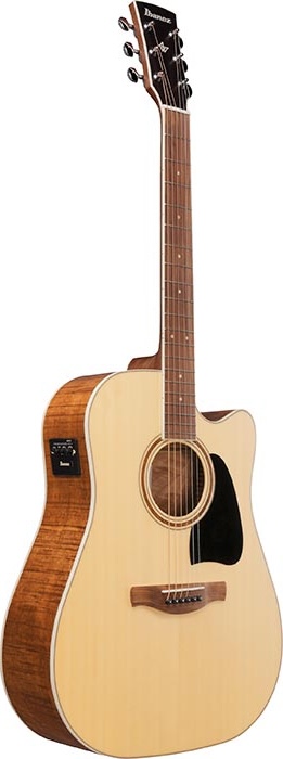 Ibanez Electric Guitar