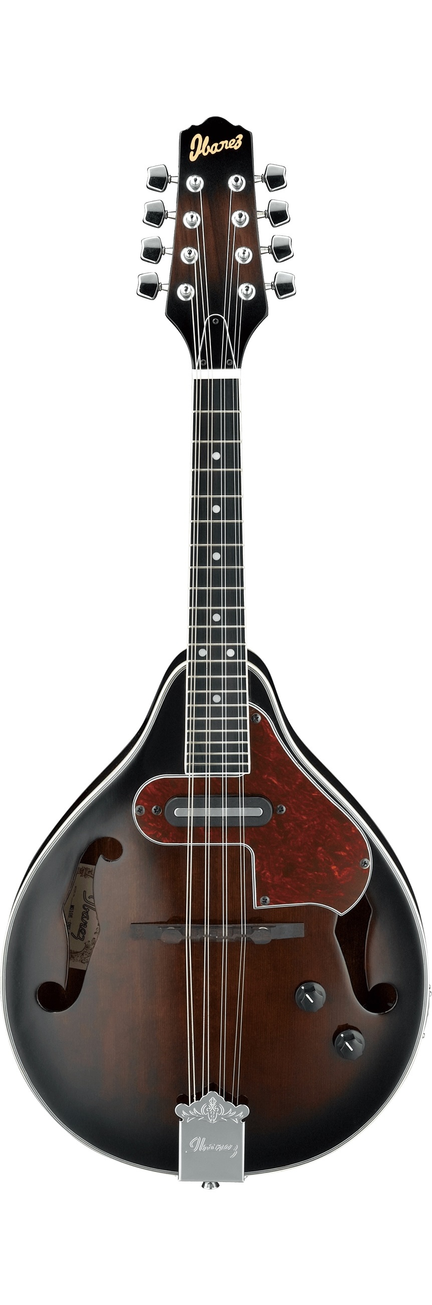 Ibanez Mandolin