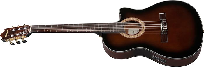 Ibanez GA Series Thinline W/pickup