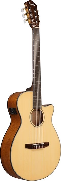 Ibanez AEG Series Spruce TOP