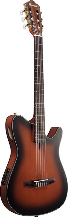 Ibanez Nylon String Guitar