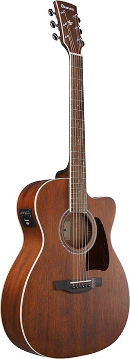 Ibanez Acoustic Guitar